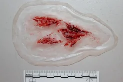 ForensicFX Studios Arm Lacerations/Cuts Prosthetic Shop