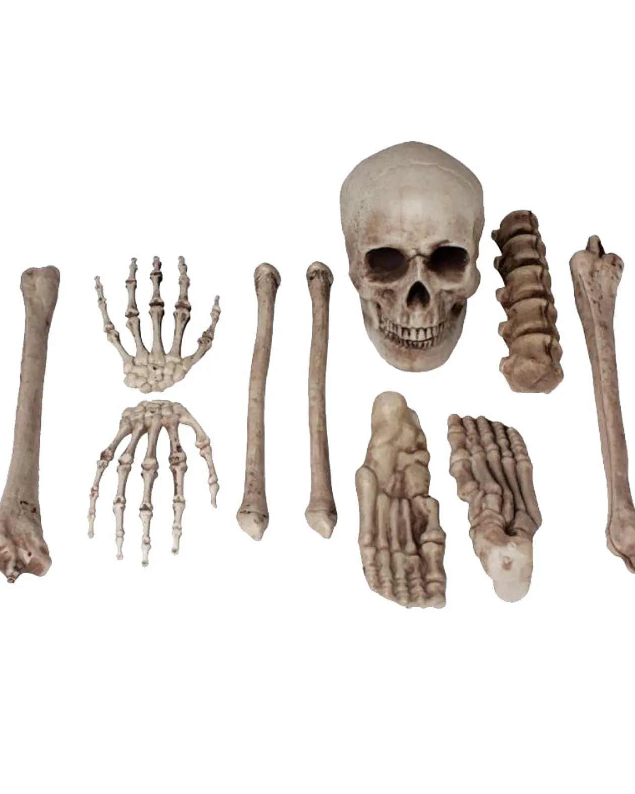 Fun World Bag O Bones 10 Piece Set Flash Sale