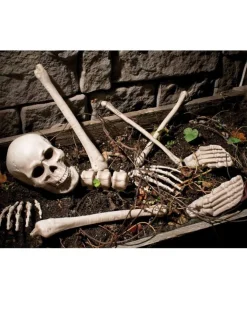 Fun World Bag O Bones 10 Piece Set Flash Sale