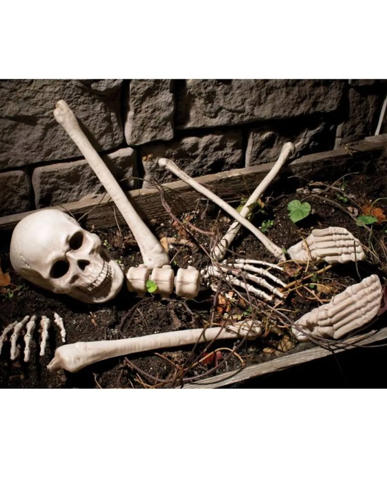 Fun World Bag O Bones 10 Piece Set Flash Sale