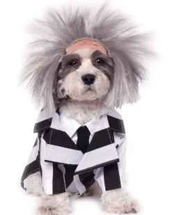 Rubies Beetlejuice Pet Costume New