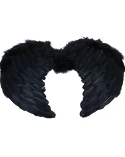Sweidas Black Feather Small Angel Wings Hot