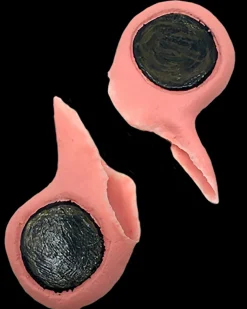 Tinsley Transfers Black Label Gauged Ears New