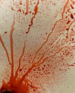 ForensicFX Studios Blood Splatter Spray Flash Sale