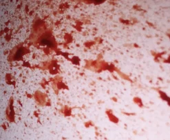 ForensicFX Studios Blood Splatter Spray Flash Sale