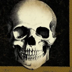 Amscan Boneyard Lunch Napkins Pack Of 6 Best