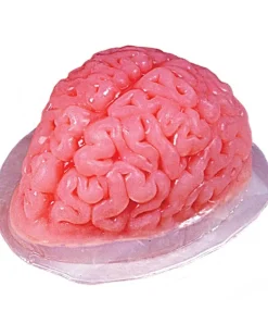 Fun World Brain Jelly Mould Sale