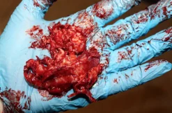 ForensicFX Studios Brain Tissue Specimen Gift Kit Cheap