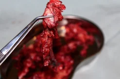 ForensicFX Studios Brain Tissue Specimen Gift Kit Cheap