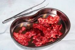 ForensicFX Studios Brain Tissue Specimen Gift Kit Cheap