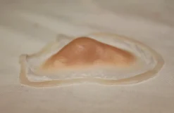 ForensicFX Studios Bruised Broken Nose With Cut Prosthetic Clearance