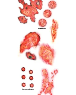 Tinsley Transfers Burned Alive Fx Temporary Tattoo Cheap