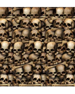 Beistle Catacombs Skulls Backdrop 9.1M New