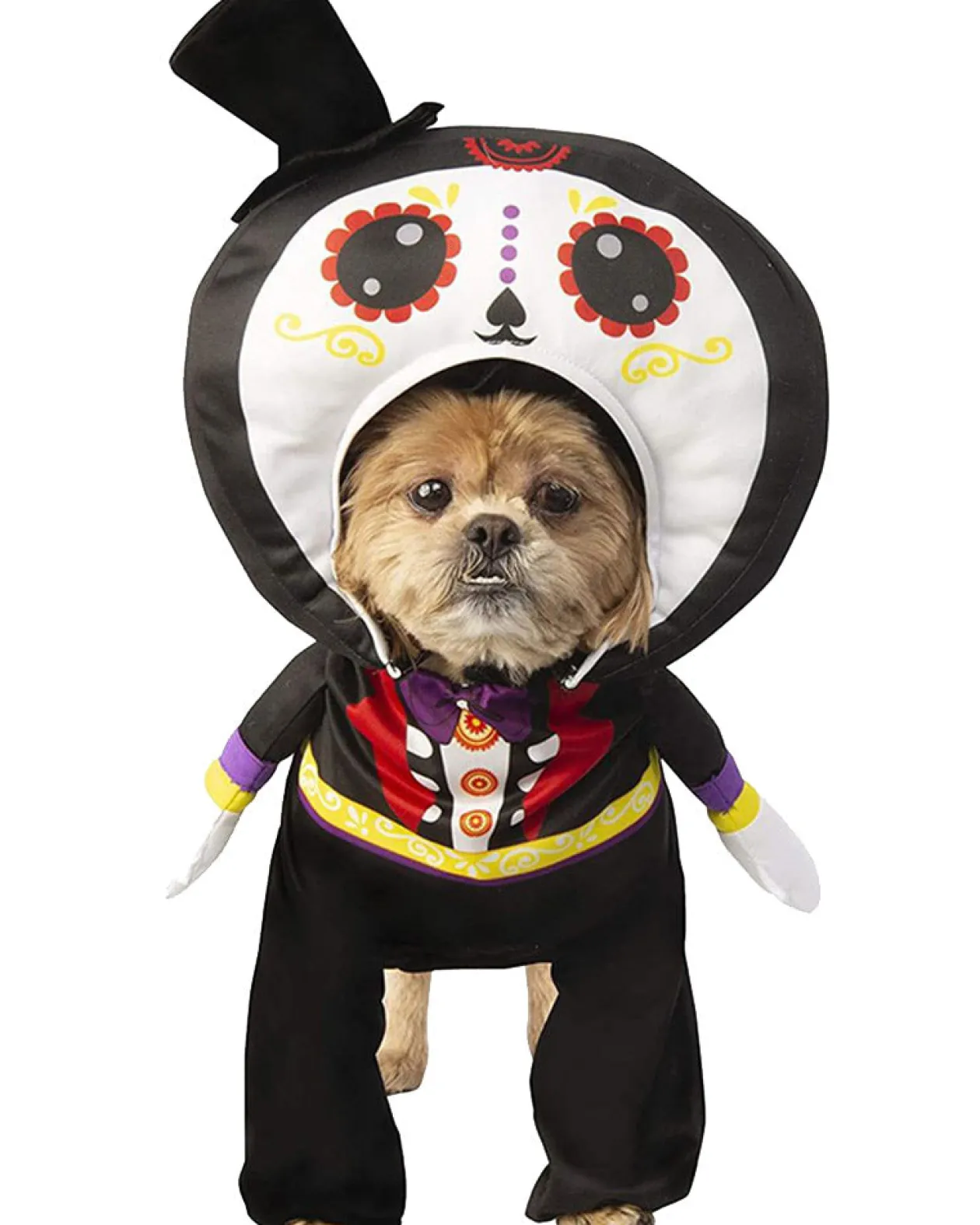 Rubies Day Of The Dead Pet Costume Sale