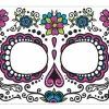 Forum Novelties Day Of The Dead Pink Tattoo Face Hot
