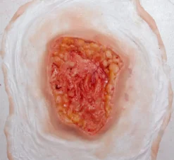 ForensicFX Studios Deep Fatty Tissue Wound Prosthetic Best