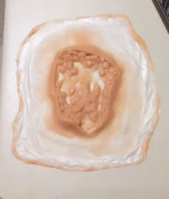 ForensicFX Studios Deep Fatty Tissue Wound Prosthetic Best