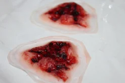 ForensicFX Studios Deep Gauged Out Eye Prosthetic Clearance