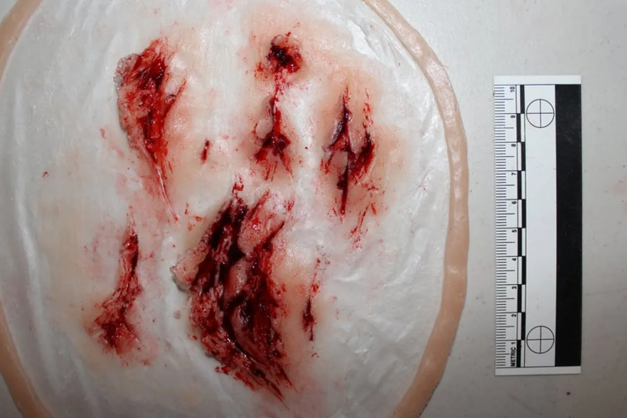 ForensicFX Studios Deep Leg Lacerations Prosthetic Online