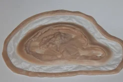 ForensicFX Studios Deep Rotting Infected Necrosis Prosthetic Clearance