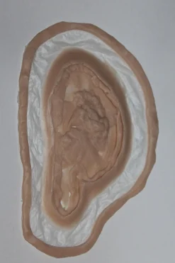 ForensicFX Studios Deep Rotting Infected Necrosis Prosthetic Clearance