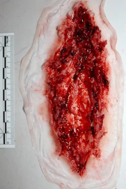 ForensicFX Studios Deep Slashed Trauma Wound Prosthetic Shop