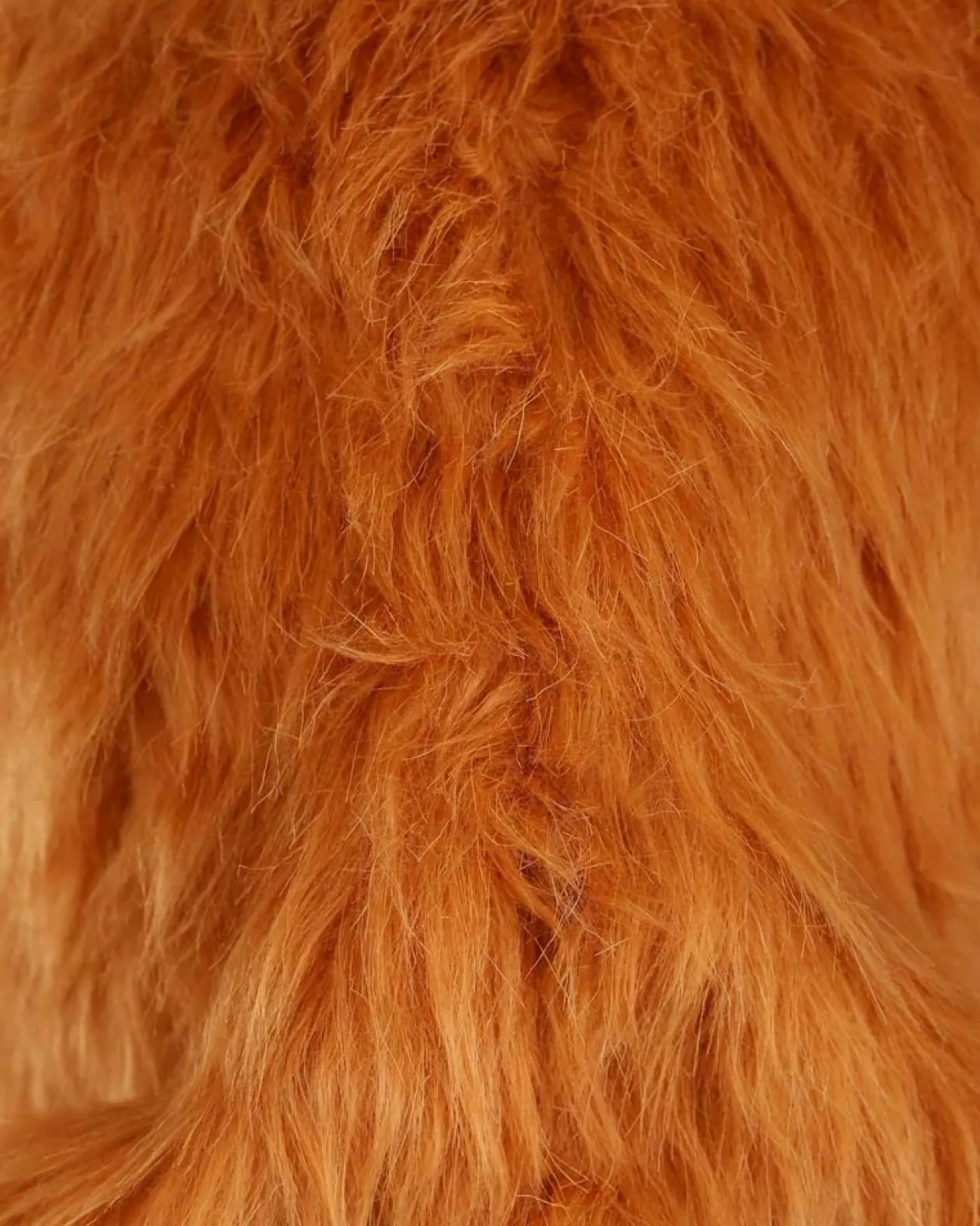 Elope Dog Mouth Mover Mask Online