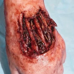 ForensicFX Studios Exposed Hand Ligaments Prosthetic Discount