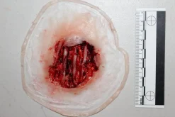 ForensicFX Studios Exposed Hand Ligaments Prosthetic Discount