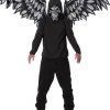 California Costumes Fallen Angel Mask And Wings New