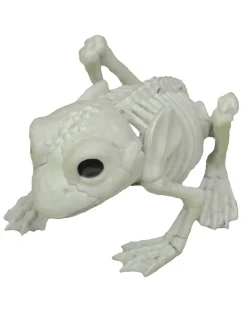 Buy Seasons Frog Skeleton Clearance