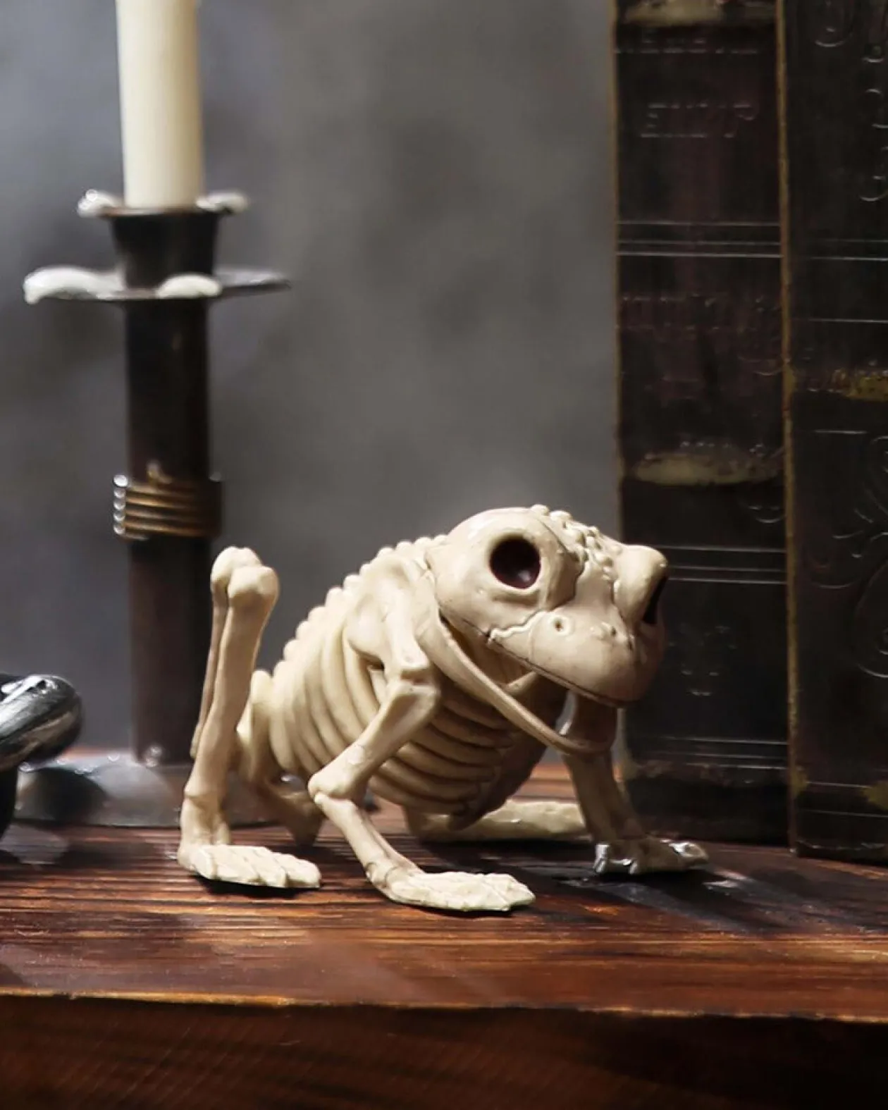 Buy Seasons Frog Skeleton Clearance
