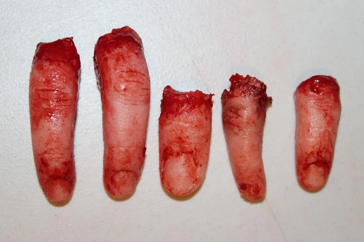 ForensicFX Studios Gorey Halloween Bundle Shop