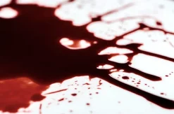 ForensicFX Studios Gorey Halloween Bundle Shop