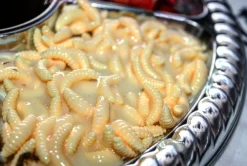 ForensicFX Studios Gorey Halloween Platter Decoration Online