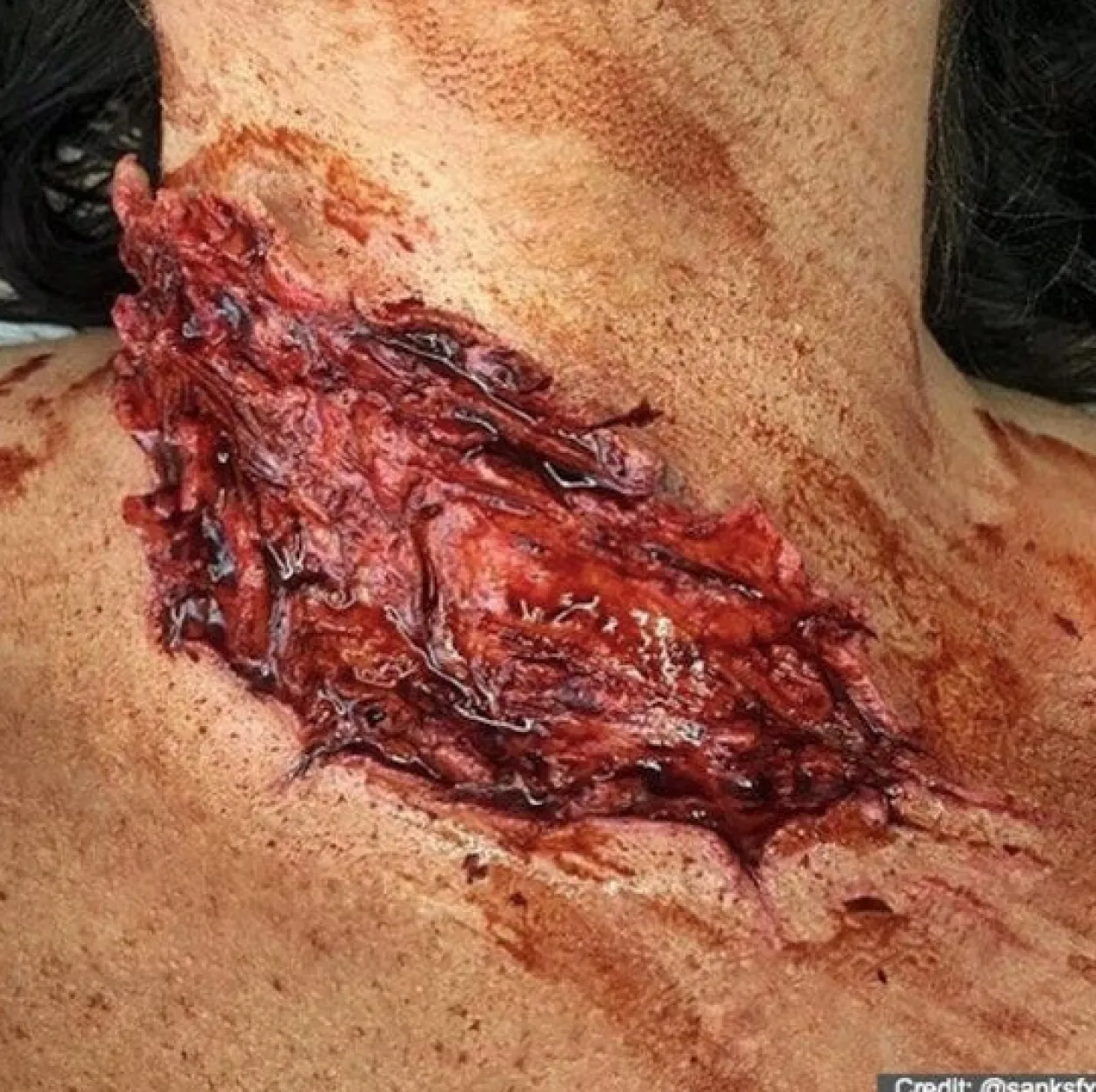 ForensicFX Studios Gorey Prosthetics Bundle Discount