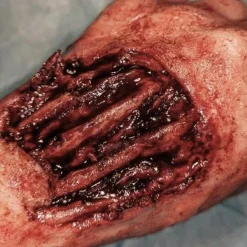 ForensicFX Studios Gorey Prosthetics Bundle Discount