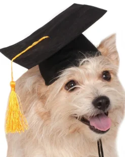 Rubies Graduation Hat Pet Costume Cheap