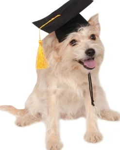 Rubies Graduation Hat Pet Costume Cheap