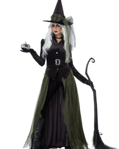 California Costumes Green Gothic Witch Womens Costume Sale