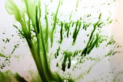 ForensicFX Studios Green Zombie Blood Hot