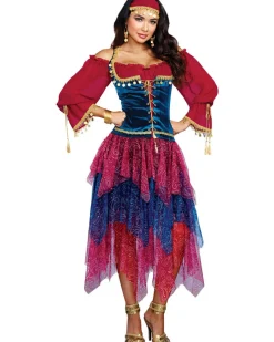 Dreamgirl International Gypsy Womens Costume Cheap