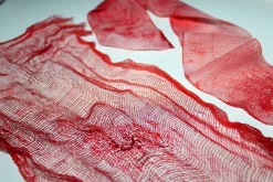 ForensicFX Studios Halloween Bloody Bandages Cheap