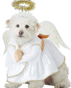 California Costumes Heavenly Hound Pet Costume Online