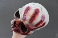 ForensicFX Studios Horror Skull With Bloody Hand Print Clearance