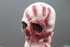 ForensicFX Studios Horror Skull With Bloody Hand Print Clearance