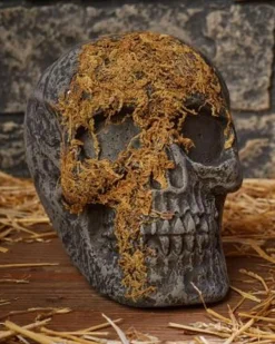 Fun World Jaw Moss Covered Skull Fashion