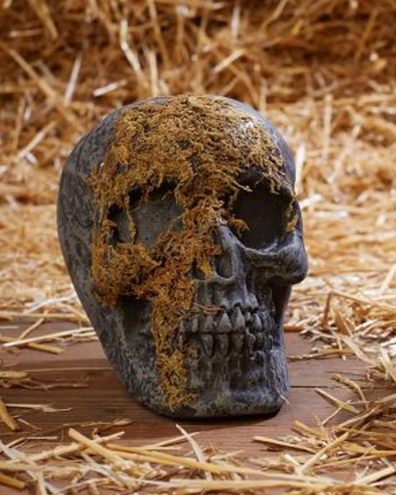 Fun World Jaw Moss Covered Skull Fashion