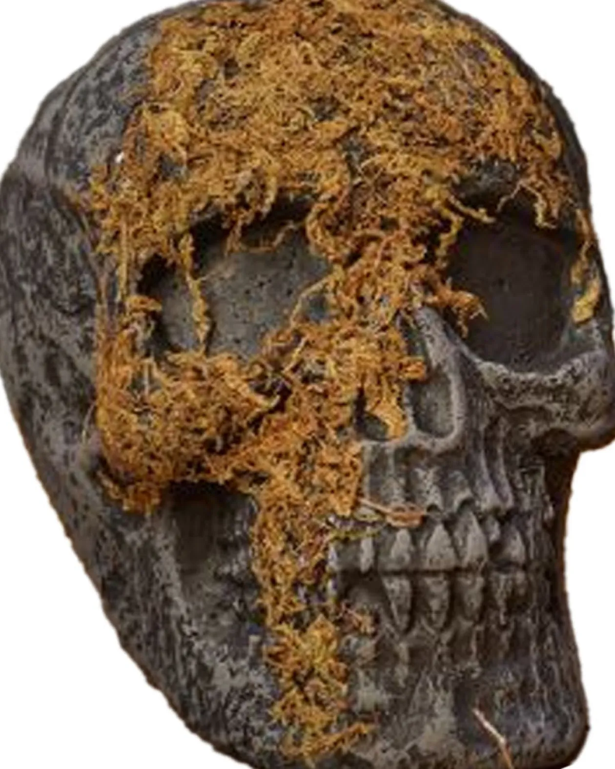Fun World Jaw Moss Covered Skull Fashion