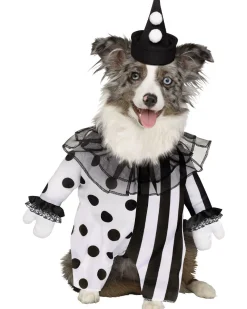 Fun World Killer Clown Pet Costume Fashion